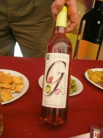 Cata del Vino 2008 (04)